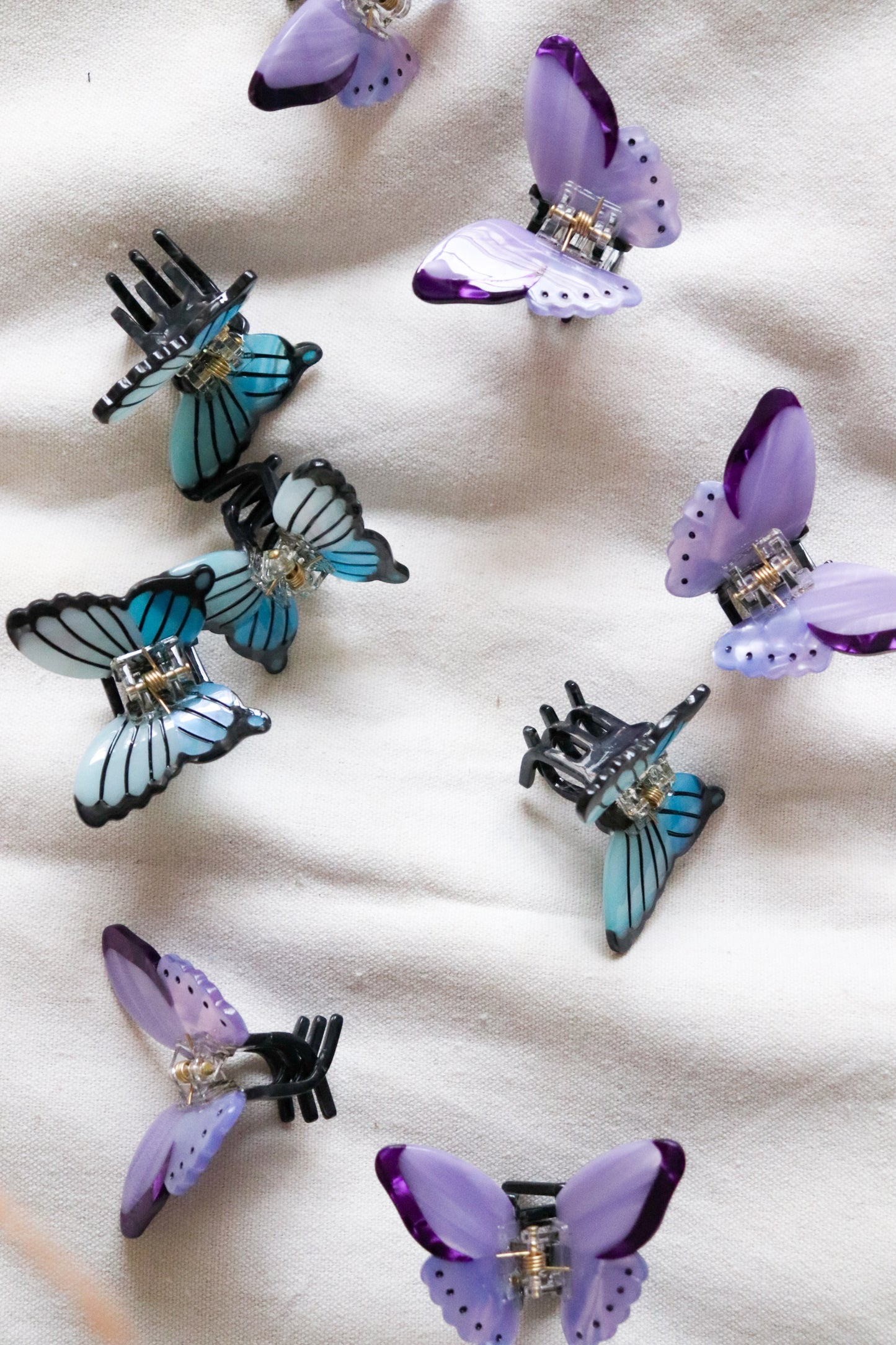 Mini pince Papillon 🦋 💜
